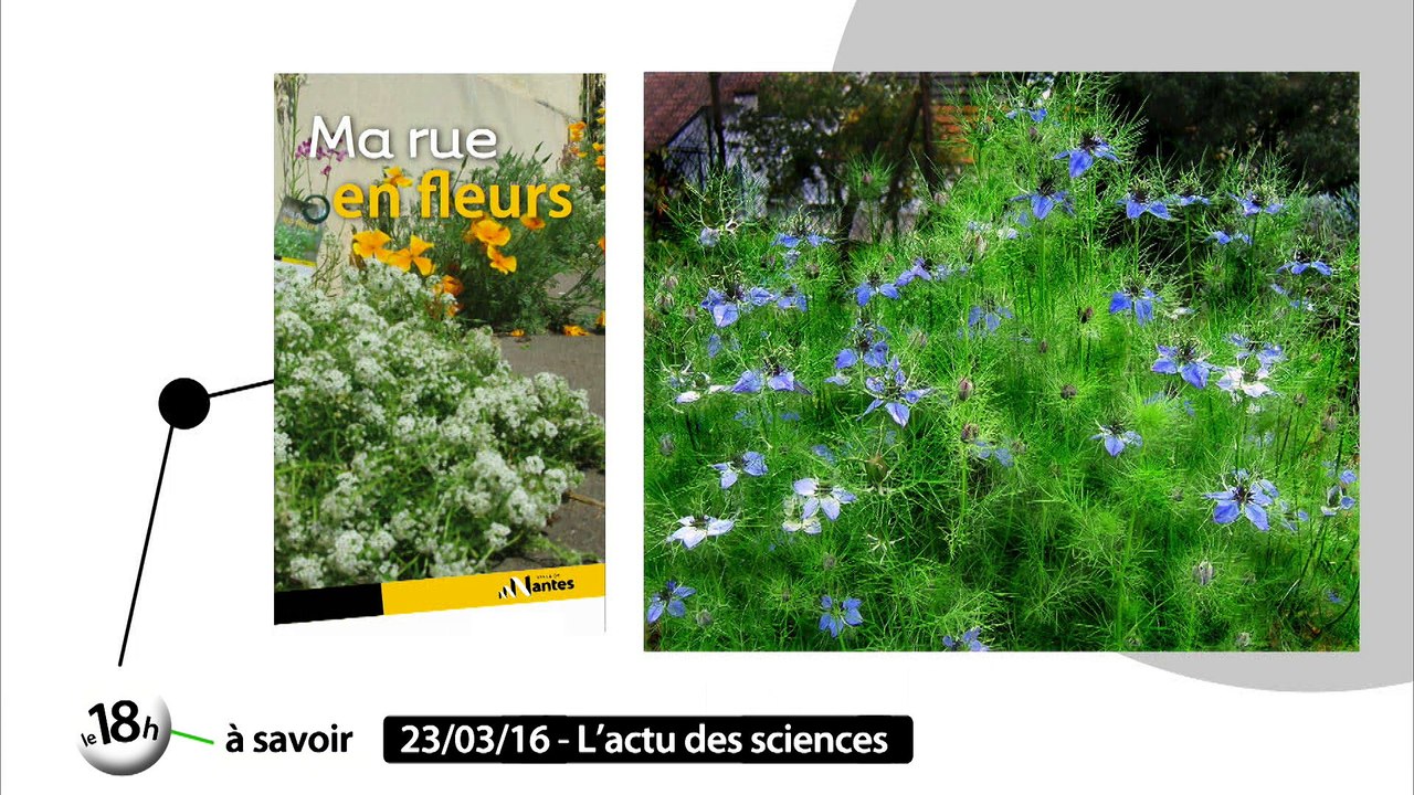 Ces particules qui nous polluent l'air