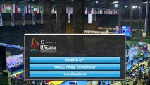 Чемпионат Мира по ушу таолу 2015 г  aрена 2  день 4 52