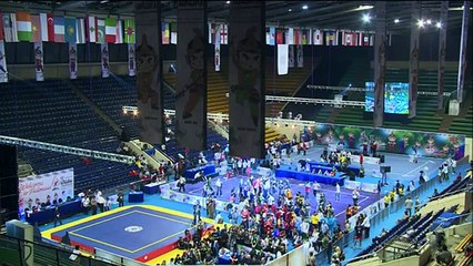 Чемпионат Мира по ушу таолу 2015 г  aрена 2  день 4 55
