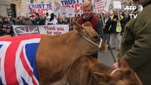 Londres: manifestation contre les faibles prix du lait