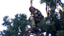 Seattle's #ManInTree Becomes a Huge Meme