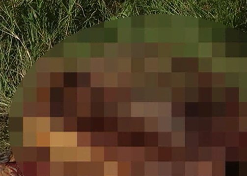 Denuncian robo de caballos para faenarlos y vender su carne