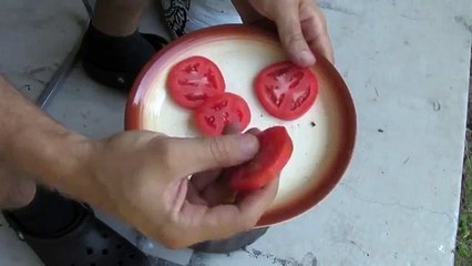 Elle met 4 tranches de tomate dans un pot contenant de la terre. Après 10 jours, jolie surprise !