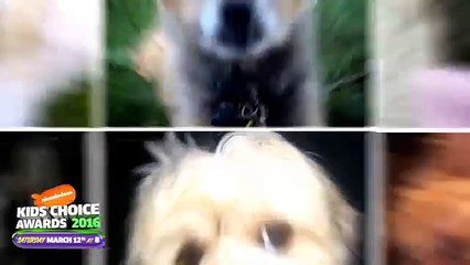 This OR That w/ Grumpy Cat | Kids Choice Awards | Nick