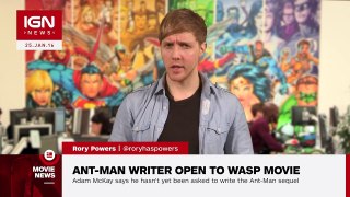 Ant-Man Writer Open to Standalone Wasp Movie - IGN News