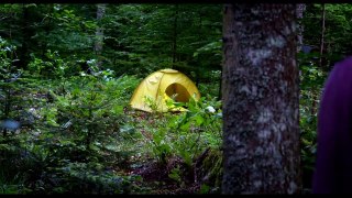 The Forest Exklusives Sneak Peek & Trailer (2016) Natalie Dormer Horror