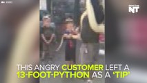 Angry Customer Forgoes Tip, Leaves Python Instead