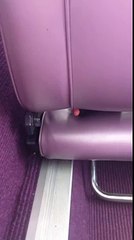 woman catches a person who records him on the train