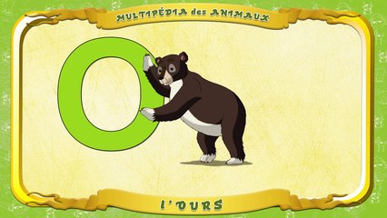 Multipédia des animaux. La lettre O lOurs