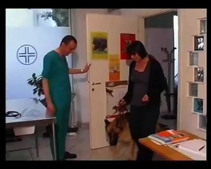 Le berger allemand 15. La sante le veterinaire
