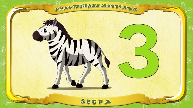 Мультипедия животных. Буква З Зебра