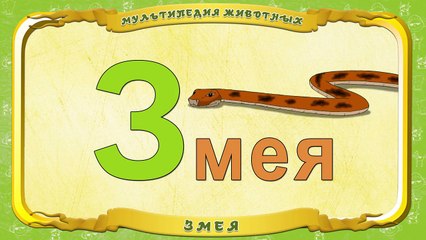 Мультипедия животных. Буква З Змея