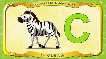 la Multipedia de animales. Letra C la Cebra