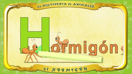 la Multipedia de animales. Letra H el Hormigón
