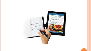 Livescribe APX-00017 - BolÃ­grafo digital para tablet con USB, negro