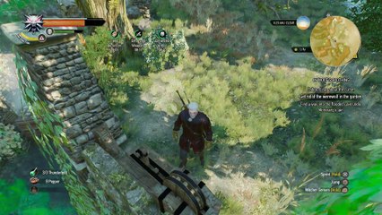 THE WITCHER 3 WALKTHROUGH PART 179 - IN WOLF'S CLOTHING
