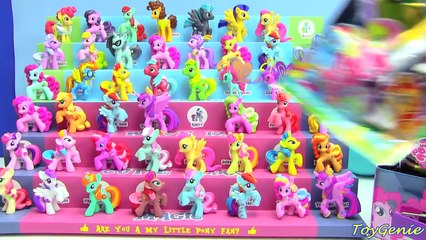 My Little Pony Dr Whooves Play Doh Surprise Egg Wave 11 and Wave 12