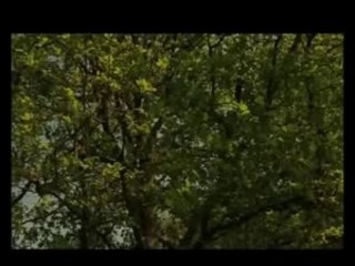 Le Dispositif - clip "le signal"