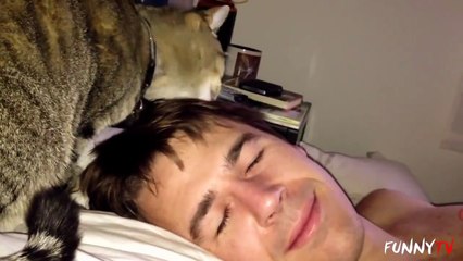 Chỉ người nuôi mèo mới hiểu