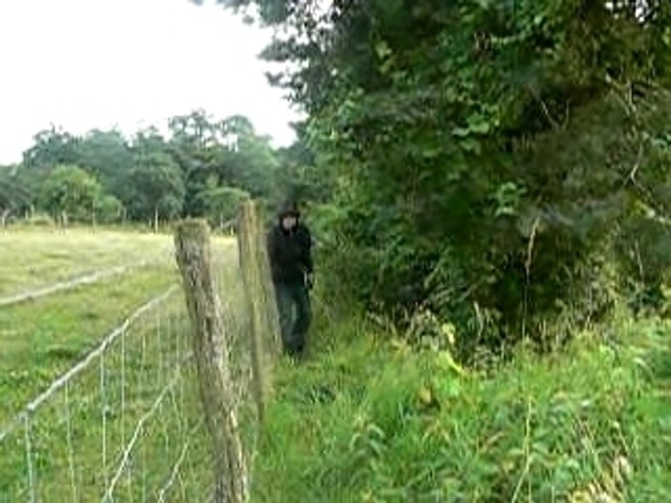 saut dans les buissons 1