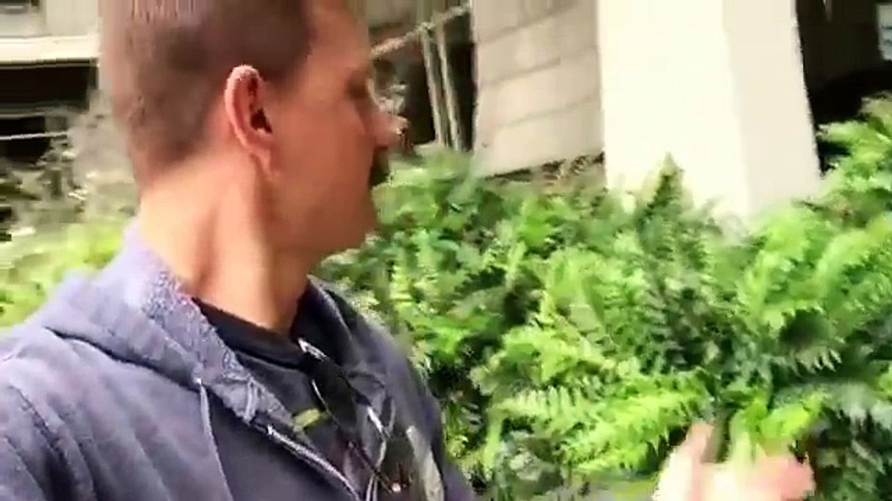 Disneyland one take vlog number 3