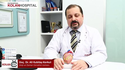 DOÇ.DR.ALİ KUBİLAY KORKUT – VARİS NEDİR