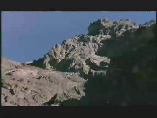 NATURE | Silent Roar | Here I Am | PBS