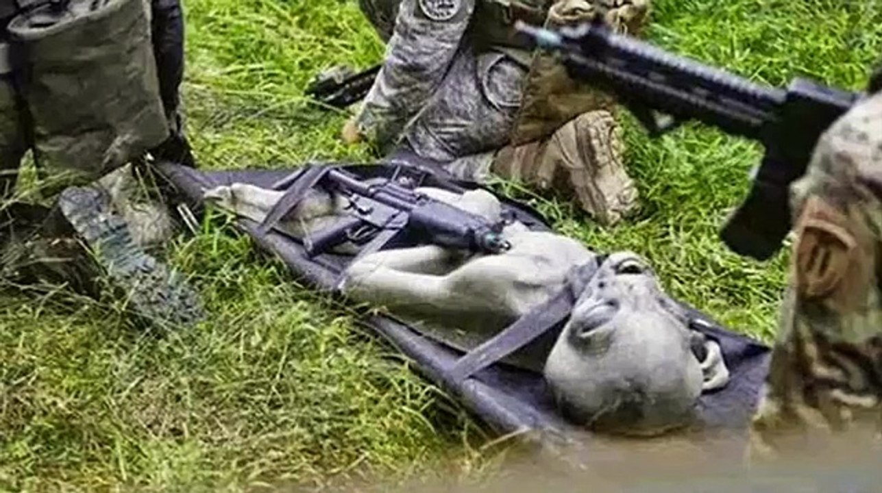 La Verdad Sobre los Extraterrestres Ovnis UFO