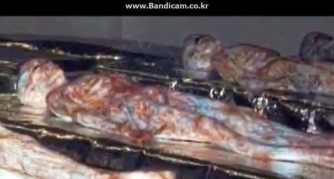 UFO 추락영상과 외계인 사체들. alien body