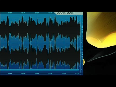 The Alien Wow Signal 72 sec at 1420 4556 MHz New View Aug 1977 UFO Sighting News