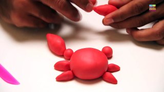 Play Doh Crab | Learn Animals | Clay Toys | Clay Animation