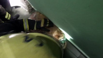 عملية إنقاذ قطة من حريق منزل بروسيا