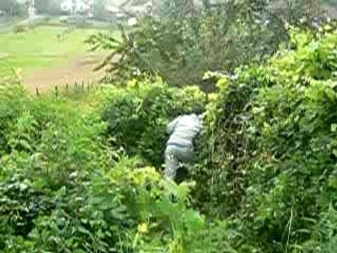 saut dans les buissons 5