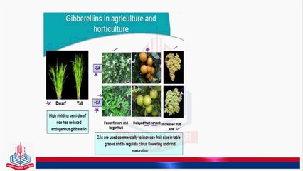 Commercial applications of Gibberellins & Effects of Cytokinins