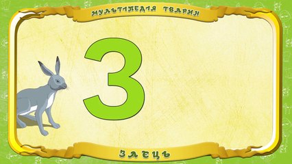 Мультіпедія тварин. Літера З Заєць