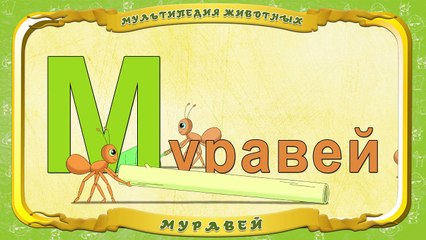 Мультипедия животных. Буква М Муравей
