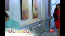 Destiny Rose: Lady Edelweiss advice to Destiny Rose