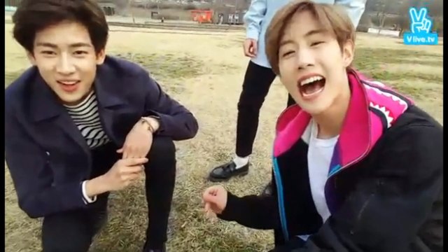 160317 [V] GOT7(갓세븐) Mark, Youngjae, BamBam speak Thai