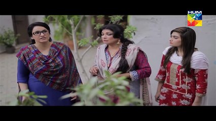 Tere Mere Beech Episode 12 Full Hum TV Drama 14 Feb 2016