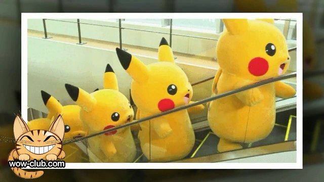 The Best Jokes and Funny Animals Compilation WOW-club #0191