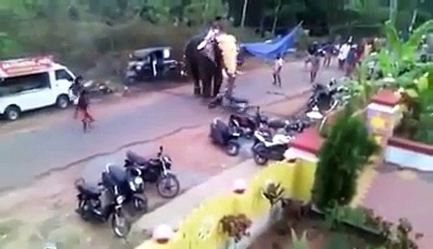 Angry Elephant Attack In palakkad kerala,India, Damaging 27 Vehicles ,Car, Bike & Auto