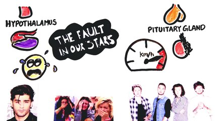 Science Explains Why Teens Can Be So Moody