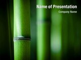 Green Bamboo PowerPoint Template Backgrounds - DigitalOfficePro #05104