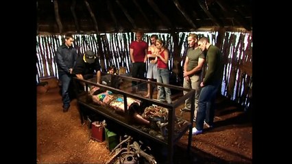 Tarantulas on Face..Dont move | Fear Factor Extra