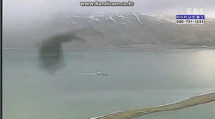 스포츠토토솔루션 올자동 토토 솔루션 판매(토토 솔루션 소스)가격 공개!い 카톡: haricuty스카이프:haricuty