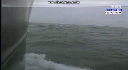 스포츠토토솔루션 올자동 토토 솔루션 판매(토토 솔루션 소스)가격 공개!い 카톡: haricuty스카이프:haricuty