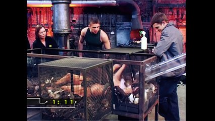 Glamour Queen V Rats | Fear Factor Extra