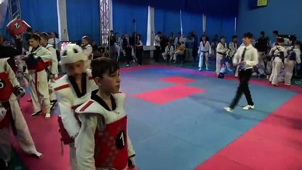 Традиційний турнір з тхеквондо пам'яті. День перший. 283