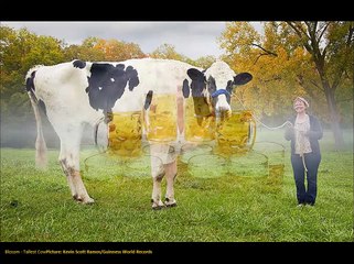 Guinnes World Records 2016