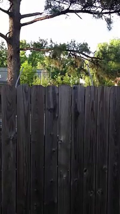 This Dog Is So Hilarious!!!